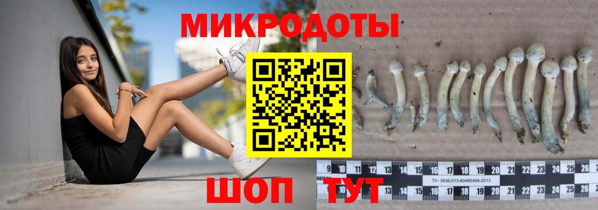Нальчик  Галлюциногенные грибы Psilocybine cubensis  Вход с VPN 